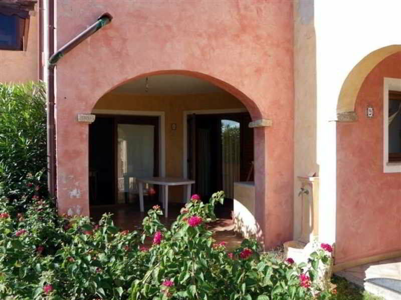 Sardinya